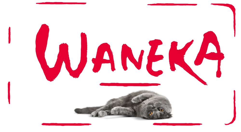 ¡Waneka: la marca española que está revolucionando el mundo de los productos para gatos!